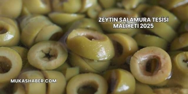 Zeytin Salamura Tesisi Maliyeti 2025
