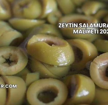 Zeytin Salamura Tesisi Maliyeti 2025