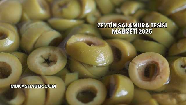 Zeytin Salamura Tesisi Maliyeti 2025