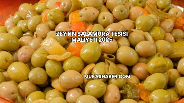 Zeytin Salamura Tesisi Maliyeti 2025