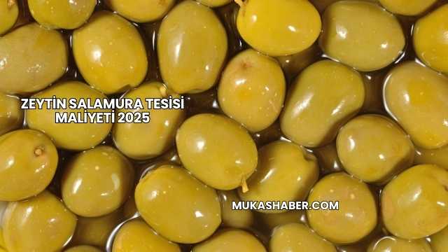 Zeytin Salamura Tesisi Maliyeti 2025