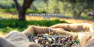 Zeytin Üretim Maliyeti 2025