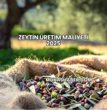 Zeytin Üretim Maliyeti 2025