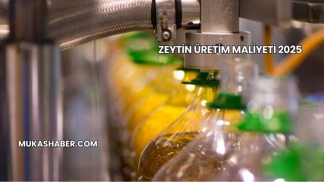 Zeytin Üretim Maliyeti 2025