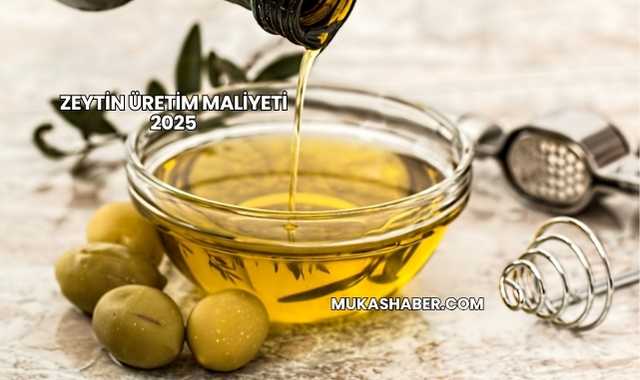 Zeytin Üretim Maliyeti 2025
