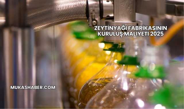 Zeytinyağı Fabrikasının Kuruluş Maliyeti 2025