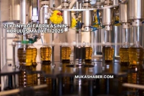 Zeytinyağı Fabrikasının Kuruluş Maliyeti 2025