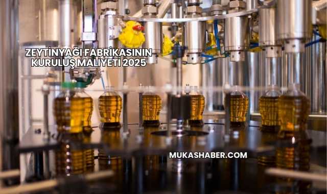 Zeytinyağı Fabrikasının Kuruluş Maliyeti 2025