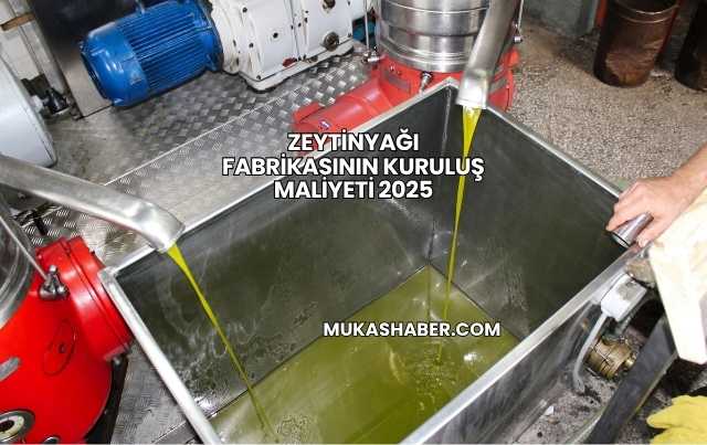 Zeytinyağı Fabrikasının Kuruluş Maliyeti 2025
