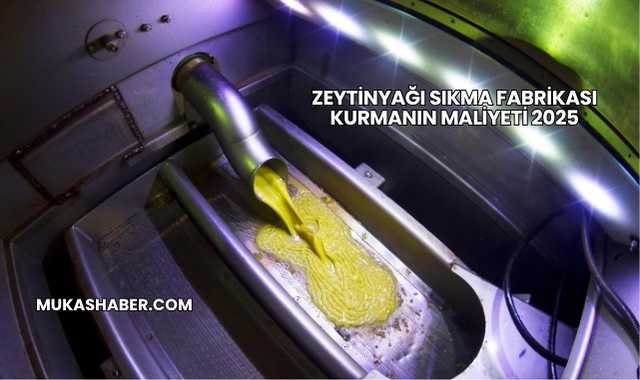 Zeytinyağı Sıkma Fabrikası Kurmanın Maliyeti 2025