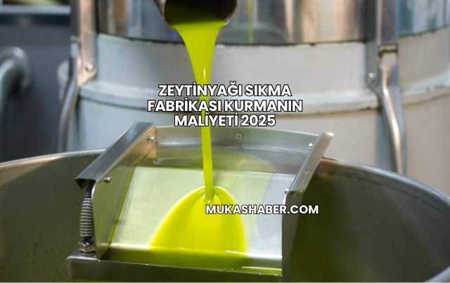 Zeytinyağı Sıkma Fabrikası Kurmanın Maliyeti 2025