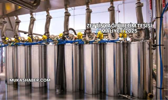 Zeytinyağı Üretim Tesisi Maliyeti 2025