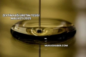 Zeytinyağı Üretim Tesisi Maliyeti 2025