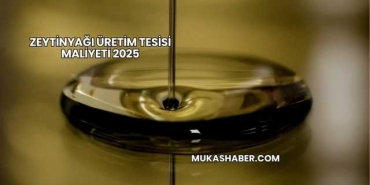 Zeytinyağı Üretim Tesisi Maliyeti 2025