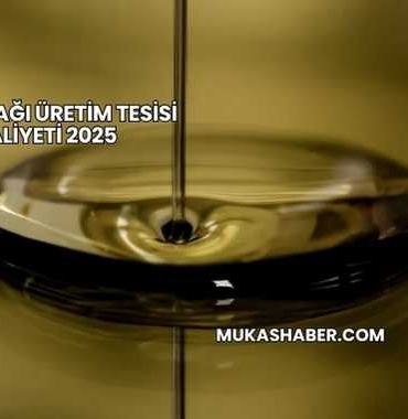 Zeytinyağı Üretim Tesisi Maliyeti 2025