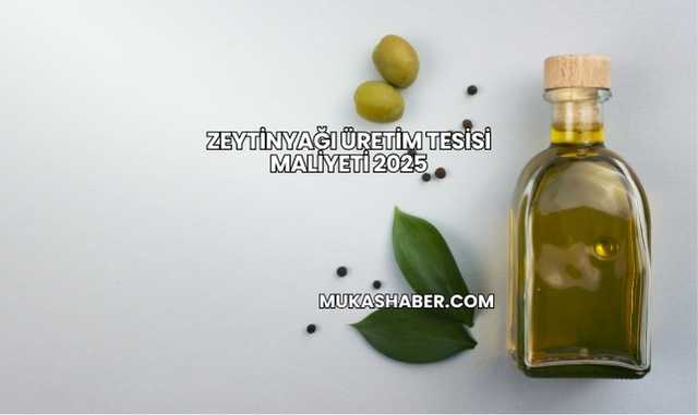 Zeytinyağı Üretim Tesisi Maliyeti 2025