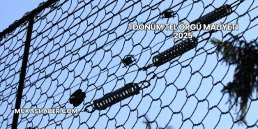 1 Dönüm Tel Örgü Maliyeti 2025