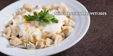 1 Kilo Mantının Maliyeti 2025