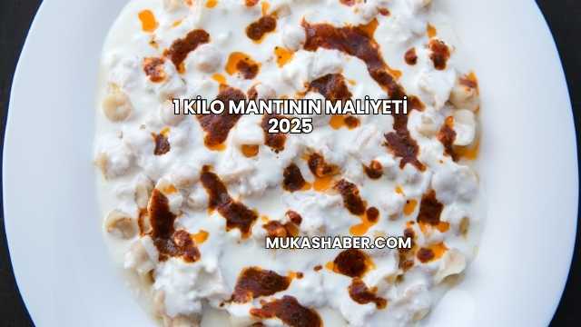 1 Kilo Mantının Maliyeti 2025