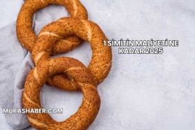 1 Simitin Maliyeti Ne Kadar 2025