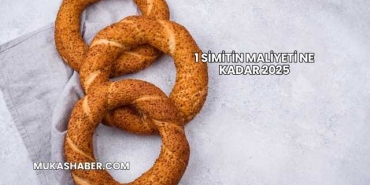1 Simitin Maliyeti Ne Kadar 2025