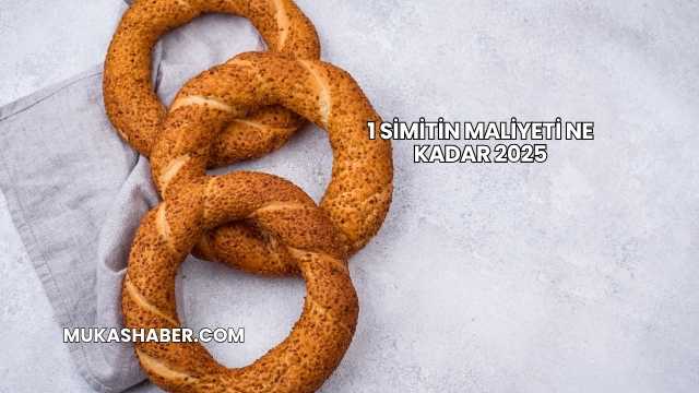 1 Simitin Maliyeti Ne Kadar 2025