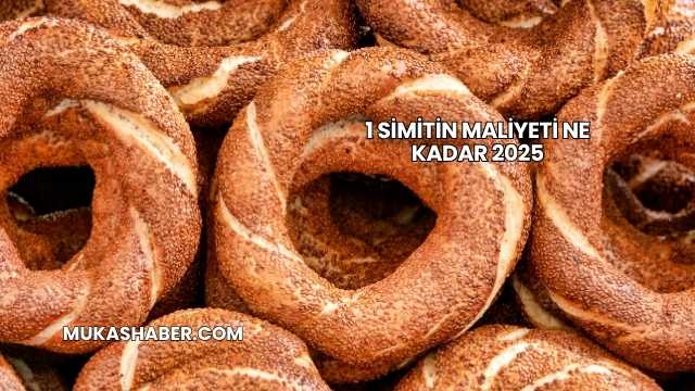 1 Simitin Maliyeti Ne Kadar 2025