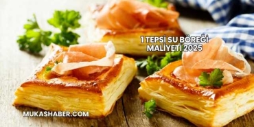 1 Tepsi Su Böreği Maliyeti 2025