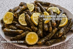 1 kg Yaprak Sarma Maliyeti 2025