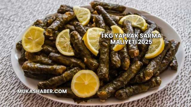 1 kg Yaprak Sarma Maliyeti 2025