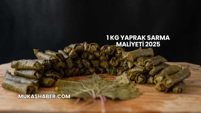 1 kg Yaprak Sarma Maliyeti 2025