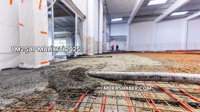 1 m2 Şap Maliyeti 2025