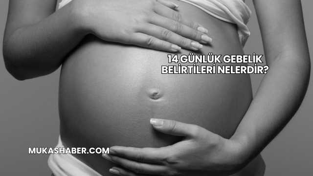 14 Günlük Gebelik Belirtileri Nelerdir?