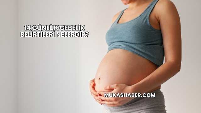 14 Günlük Gebelik Belirtileri Nelerdir?
