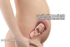 25 Günlük Hamilelik Belirtileri Nelerdir?