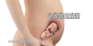 25 Günlük Hamilelik Belirtileri Nelerdir?
