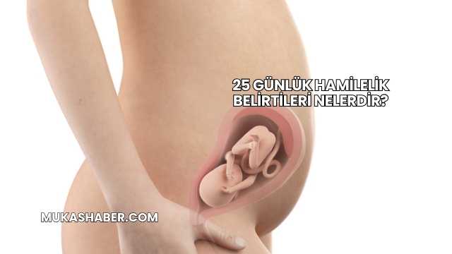 25 Günlük Hamilelik Belirtileri Nelerdir?