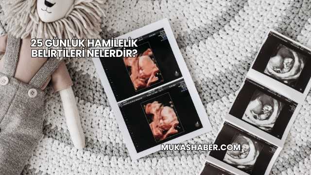 25 Günlük Hamilelik Belirtileri Nelerdir?