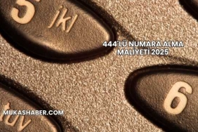 444'lü Numara Alma Maliyeti 2025