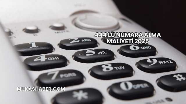 444'lü Numara Alma Maliyeti 2025