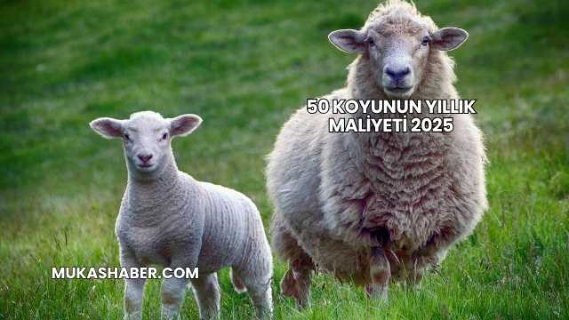 50 Koyunun Yıllık Maliyeti 2025