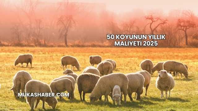 50 Koyunun Yıllık Maliyeti 2025