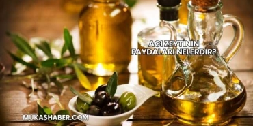 Acı Zeytinin Faydaları Nelerdir?