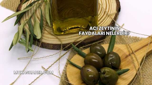 Acı Zeytinin Faydaları Nelerdir?