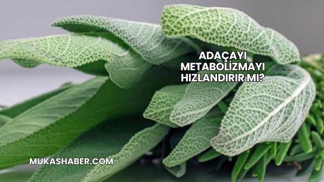 Adaçayı Metabolizmayı Hızlandırır mı?