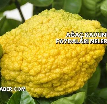 Ağaç Kavunu Faydaları Nelerdir?