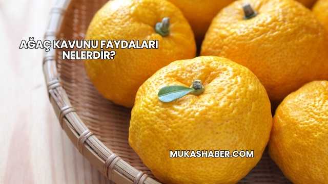 Ağaç Kavunu Faydaları Nelerdir?