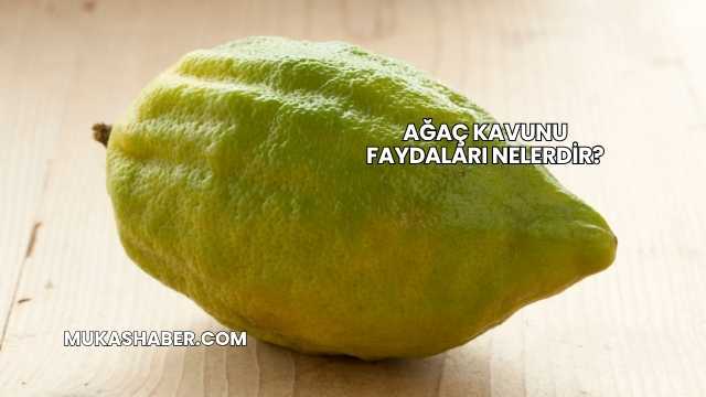 Ağaç Kavunu Faydaları Nelerdir?