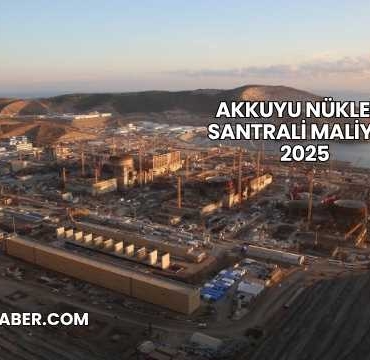Akkuyu Nükleer Santrali Maliyeti 2025