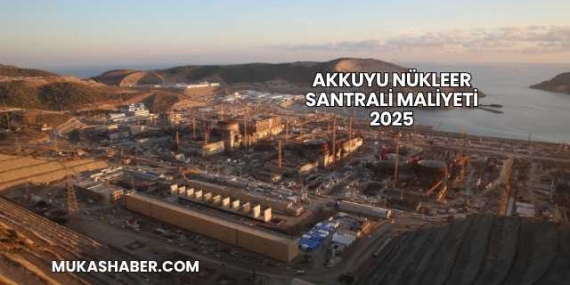 Akkuyu Nükleer Santrali Maliyeti 2025